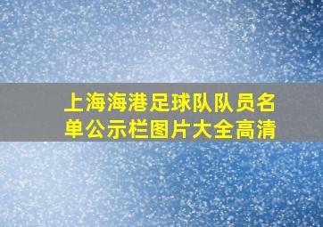 上海海港足球队队员名单公示栏图片大全高清