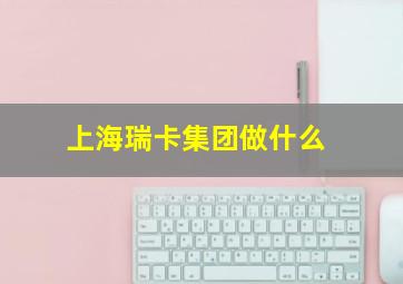 上海瑞卡集团做什么