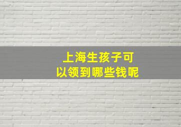 上海生孩子可以领到哪些钱呢