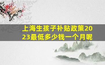 上海生孩子补贴政策2023最低多少钱一个月呢