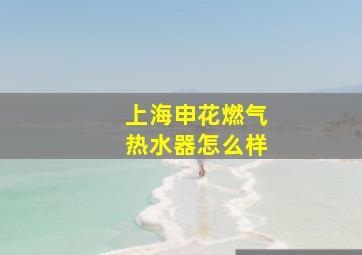 上海申花燃气热水器怎么样