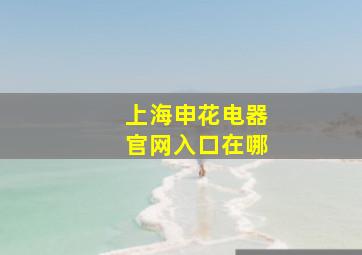 上海申花电器官网入口在哪