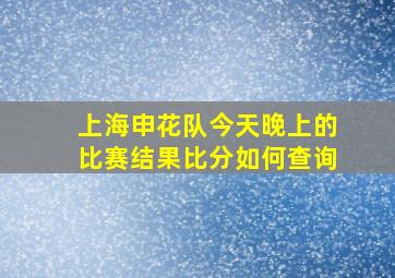 上海申花队今天晚上的比赛结果比分如何查询