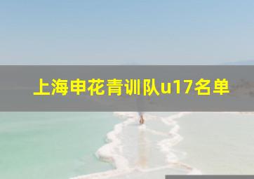 上海申花青训队u17名单