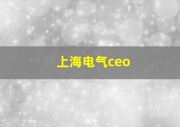 上海电气ceo