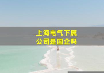 上海电气下属公司是国企吗