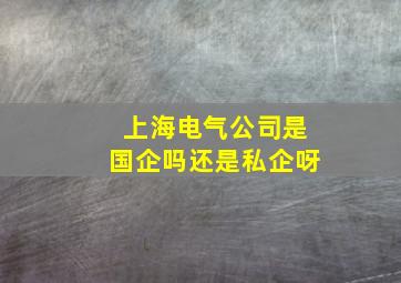 上海电气公司是国企吗还是私企呀