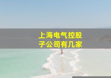 上海电气控股子公司有几家