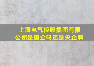 上海电气控股集团有限公司是国企吗还是央企啊