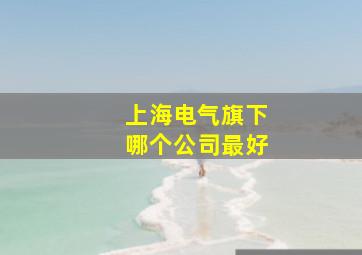 上海电气旗下哪个公司最好