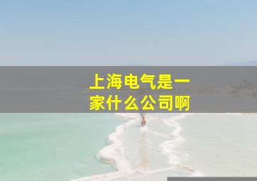 上海电气是一家什么公司啊