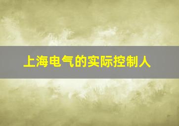 上海电气的实际控制人