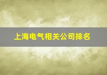 上海电气相关公司排名