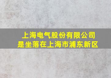 上海电气股份有限公司是坐落在上海市浦东新区