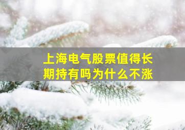 上海电气股票值得长期持有吗为什么不涨