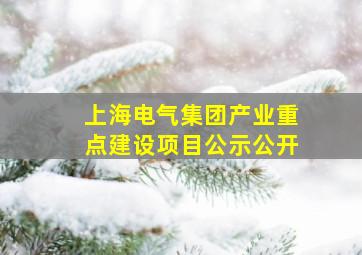 上海电气集团产业重点建设项目公示公开