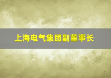 上海电气集团副董事长