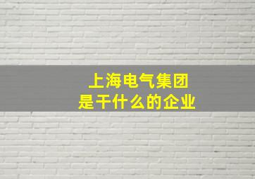 上海电气集团是干什么的企业