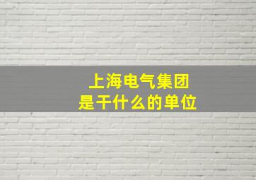 上海电气集团是干什么的单位