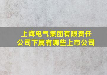 上海电气集团有限责任公司下属有哪些上市公司