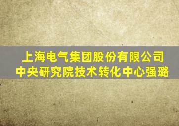 上海电气集团股份有限公司中央研究院技术转化中心强璐