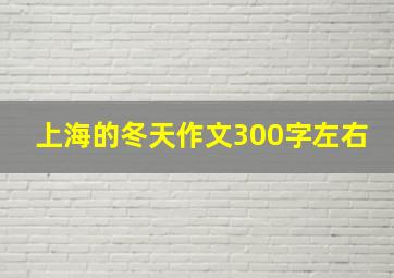 上海的冬天作文300字左右