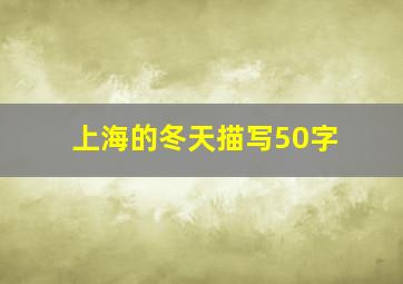 上海的冬天描写50字