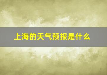 上海的天气预报是什么