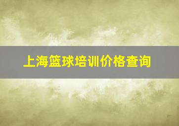 上海篮球培训价格查询