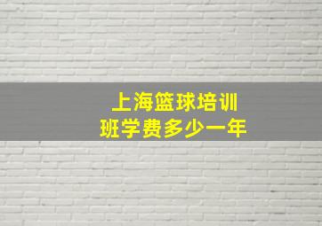 上海篮球培训班学费多少一年