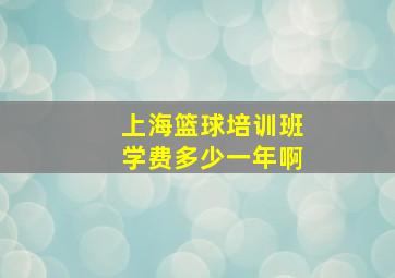 上海篮球培训班学费多少一年啊