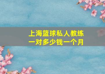 上海篮球私人教练一对多少钱一个月