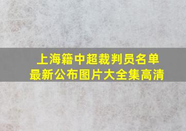 上海籍中超裁判员名单最新公布图片大全集高清