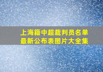 上海籍中超裁判员名单最新公布表图片大全集