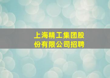 上海精工集团股份有限公司招聘