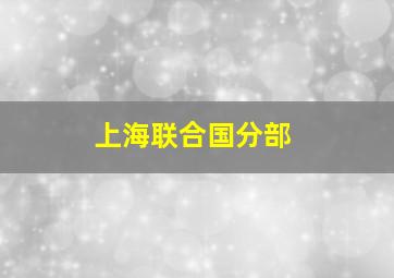 上海联合国分部