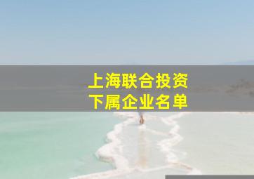 上海联合投资下属企业名单