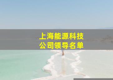 上海能源科技公司领导名单