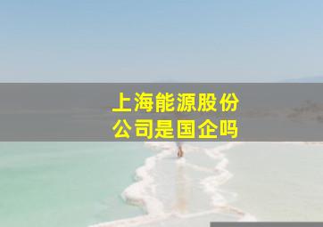 上海能源股份公司是国企吗