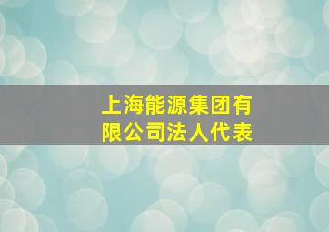 上海能源集团有限公司法人代表