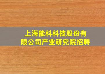 上海能科科技股份有限公司产业研究院招聘