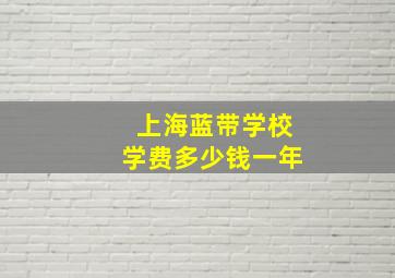 上海蓝带学校学费多少钱一年