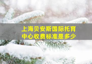 上海贝安斯国际托育中心收费标准是多少