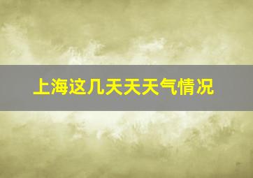 上海这几天天天气情况