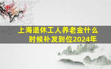 上海退休工人养老金什么时候补发到位2024年