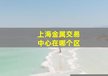 上海金属交易中心在哪个区