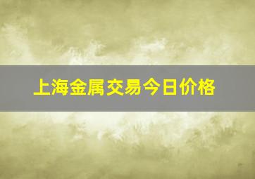 上海金属交易今日价格