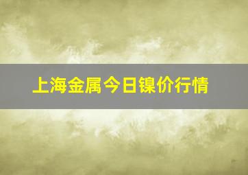 上海金属今日镍价行情