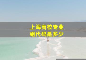 上海高校专业组代码是多少