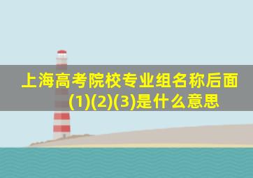 上海高考院校专业组名称后面(1)(2)(3)是什么意思